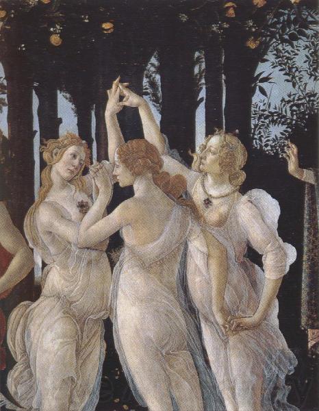 Sandro Botticelli La Primavera (mk39) France oil painting art